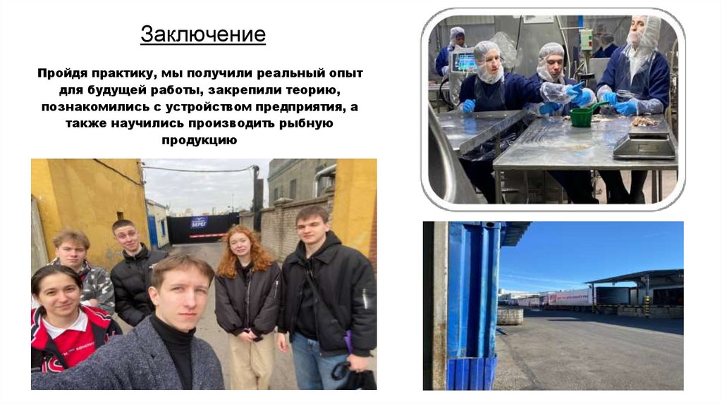 Заключение