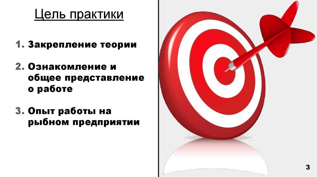 Цель практики