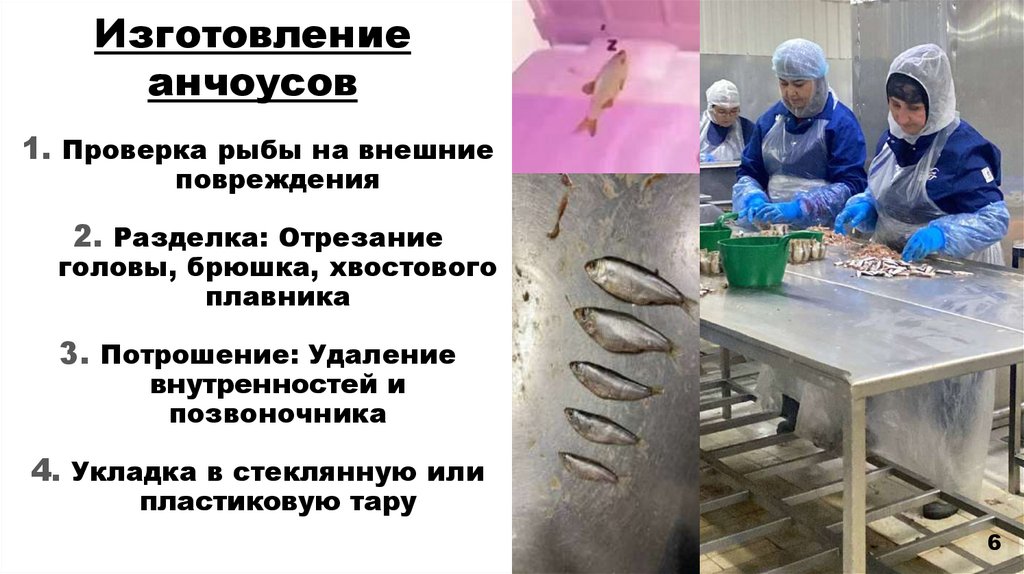 Изготовление анчоусов