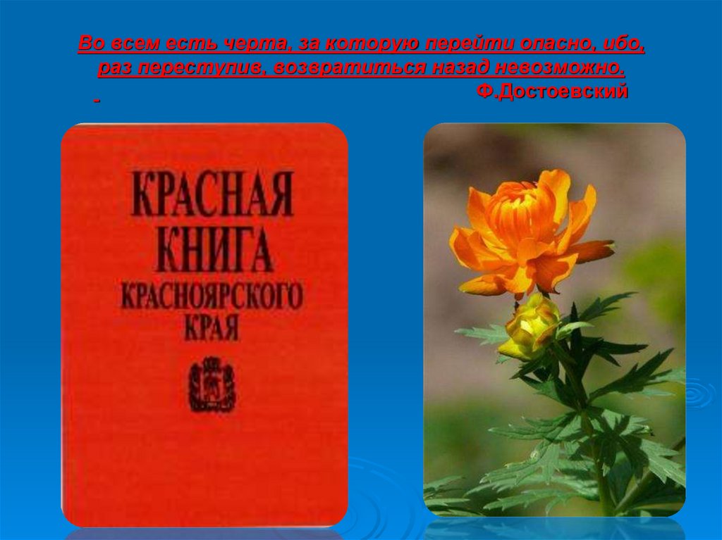 Во всем есть черта, за которую перейти опасно, ибо, раз переступив, возвратиться назад невозможно.