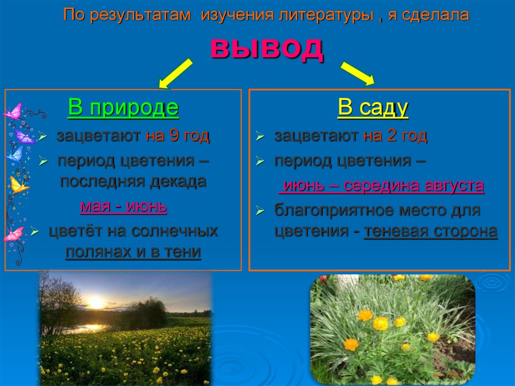 По результатам изучения литературы , я сделала вывод