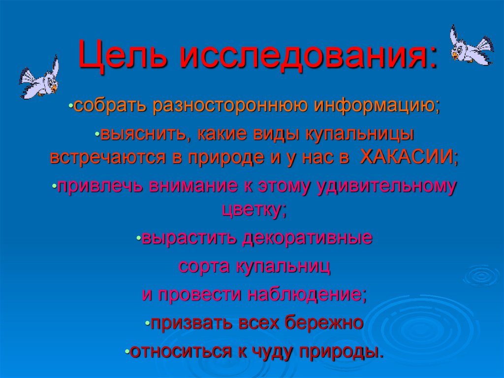 Цель исследования: