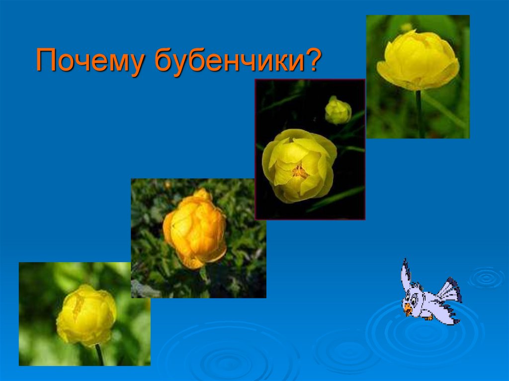 Почему бубенчики?