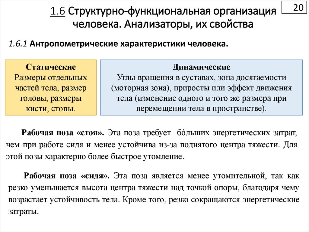1.6 Структурно-функциональная организация человека. Анализаторы, их свойства