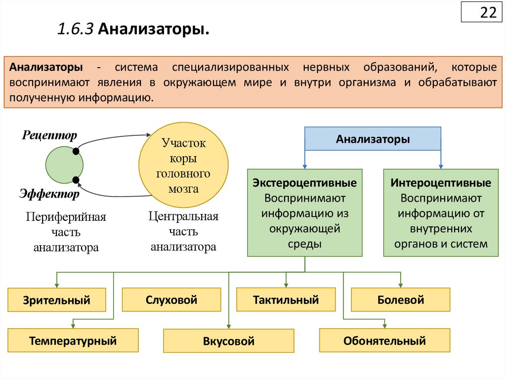 1.6.3 Анализаторы.