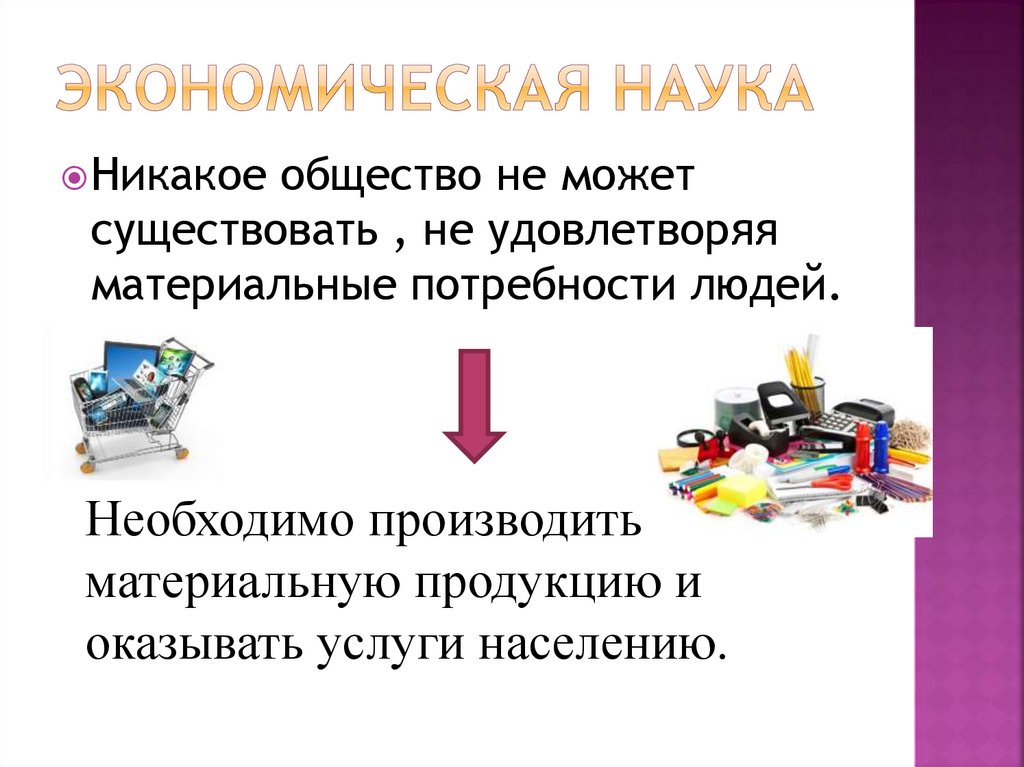 Экономическая наука