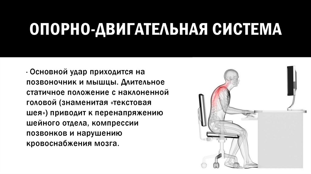 ОПОрно-двигательная система