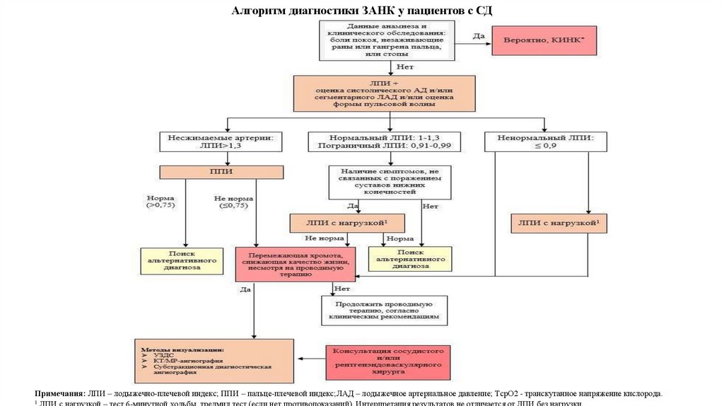   Алгоритм диагностики ЗАНК у пациентов с СД