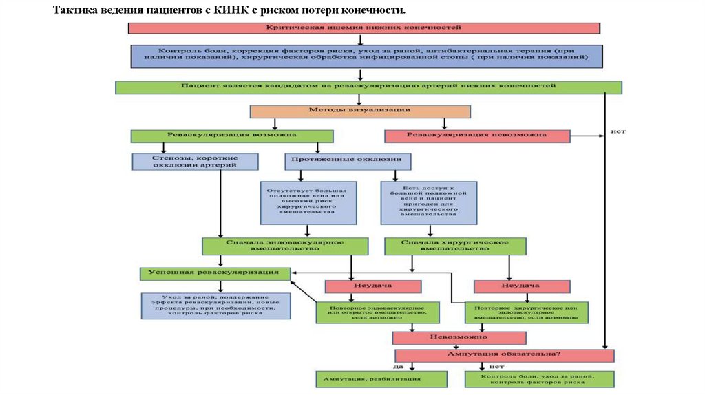 Тактика ведения пациентов с КИНК с риском потери конечности.