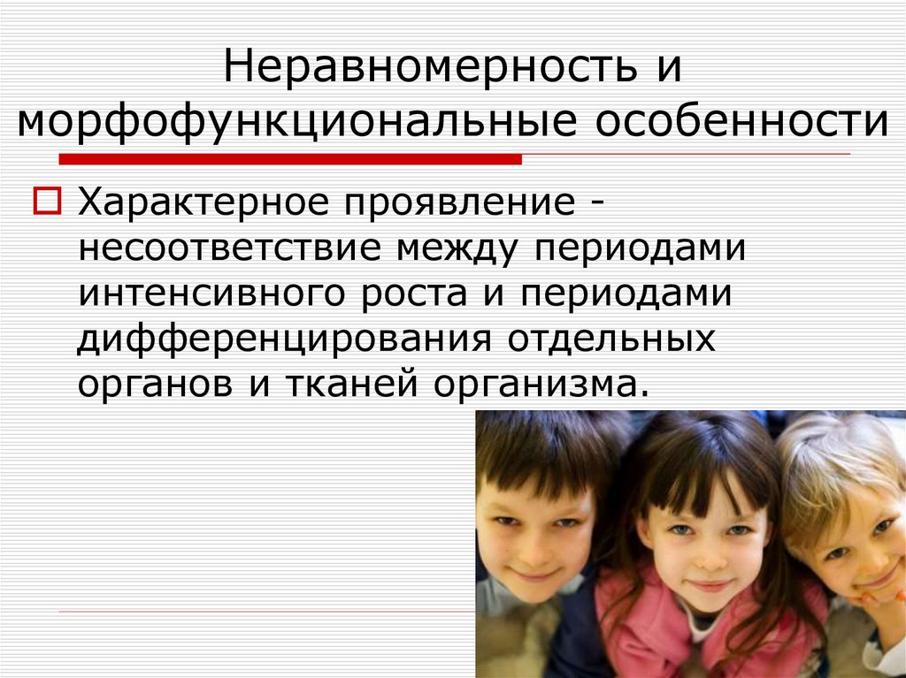 Неравномерность и морфофункциональные особенности