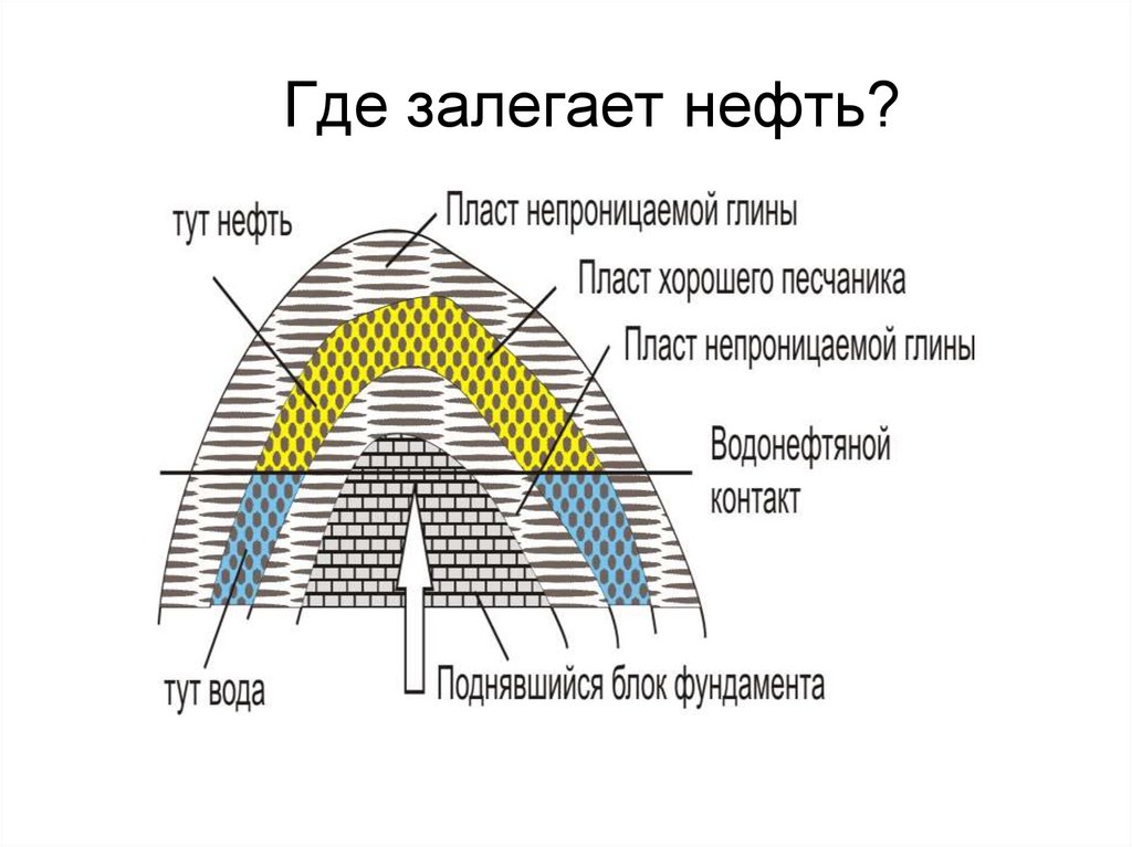 Где залегает нефть?