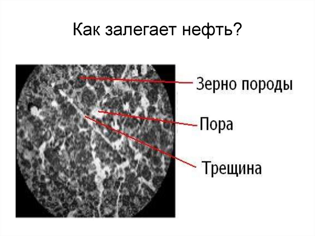 Как залегает нефть?