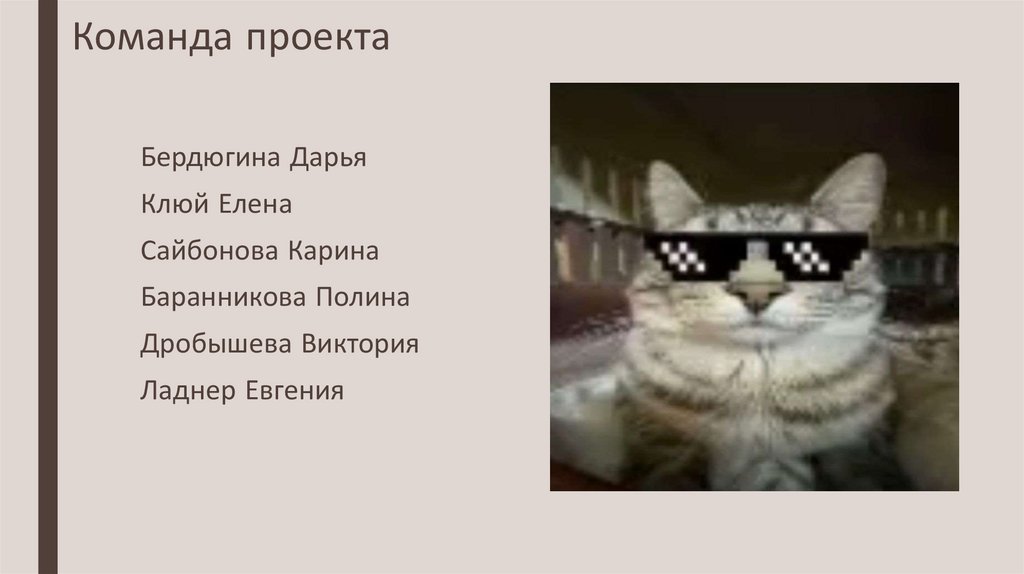 Команда проекта