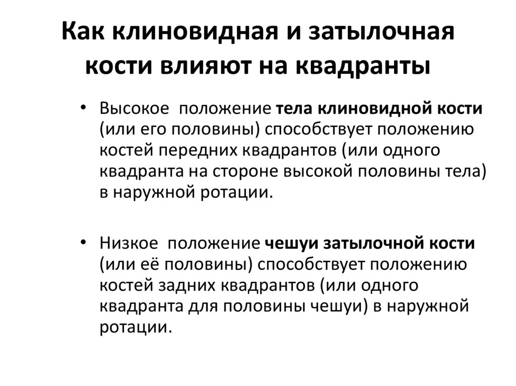 Как клиновидная и затылочная кости влияют на квадранты