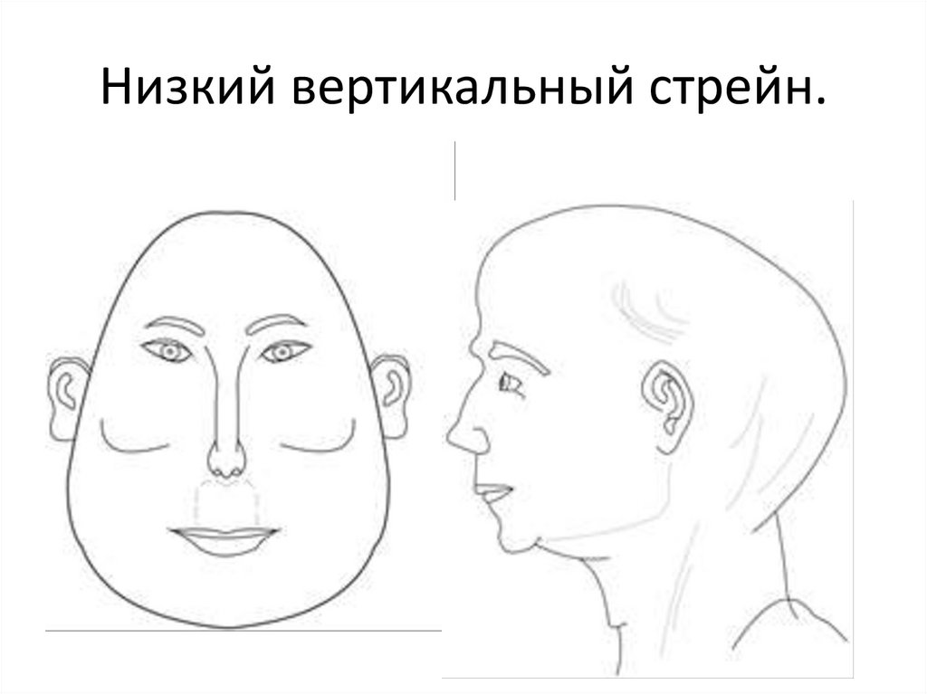 Пальпаторные ощущения: