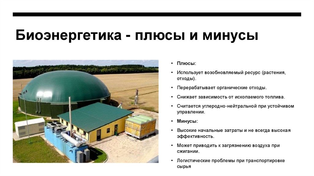 Биоэнергетика - плюсы и минусы