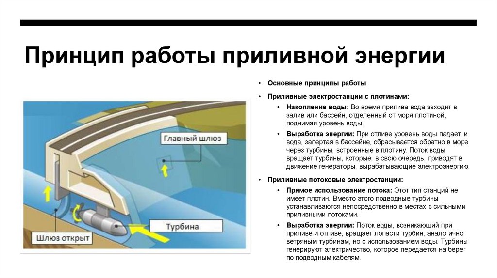 Принцип работы приливной энергии