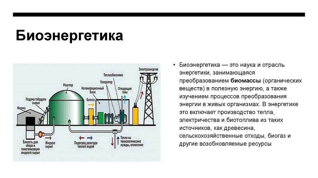 Биоэнергетика