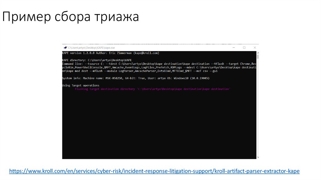 Пример сбора триажа