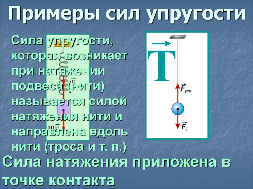 Примеры сил упругости