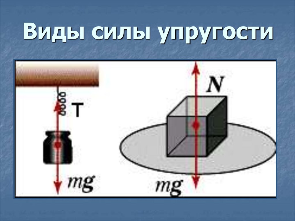 Виды силы упругости