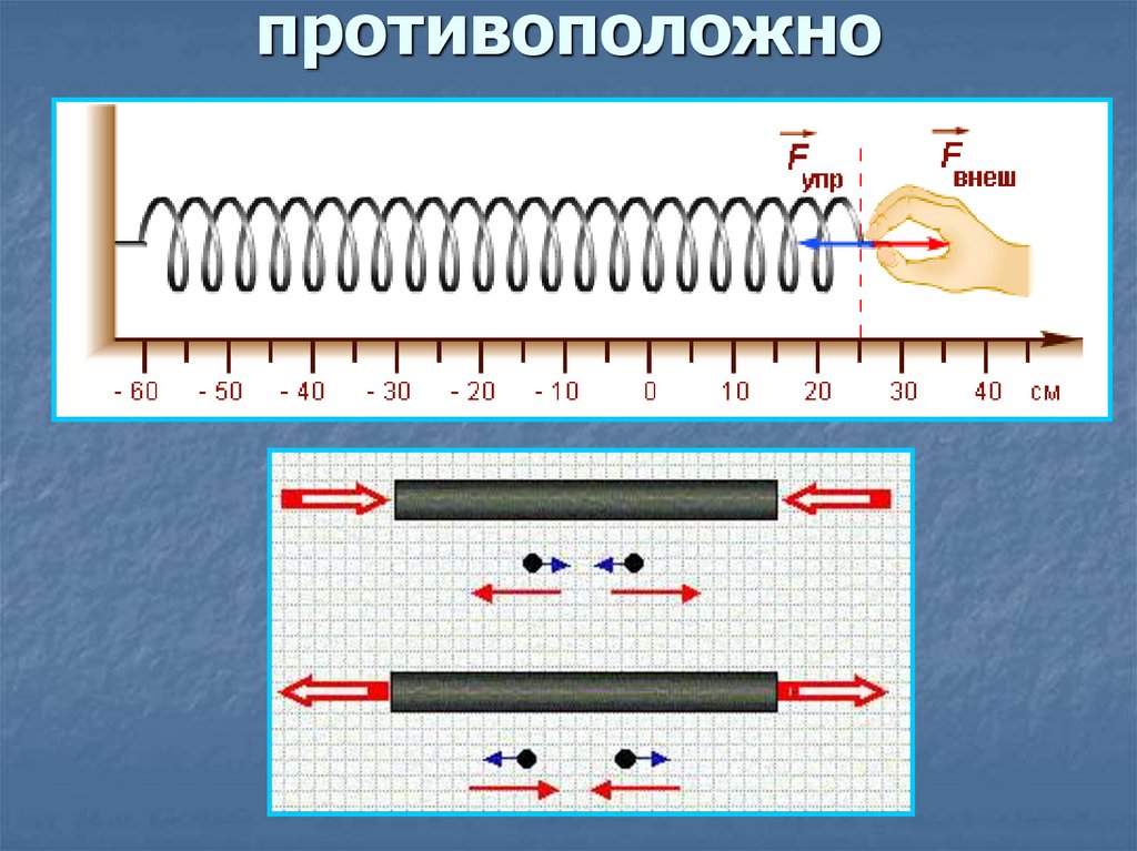 Направление силы упругости: противоположно направлению перемещения частиц при деформации