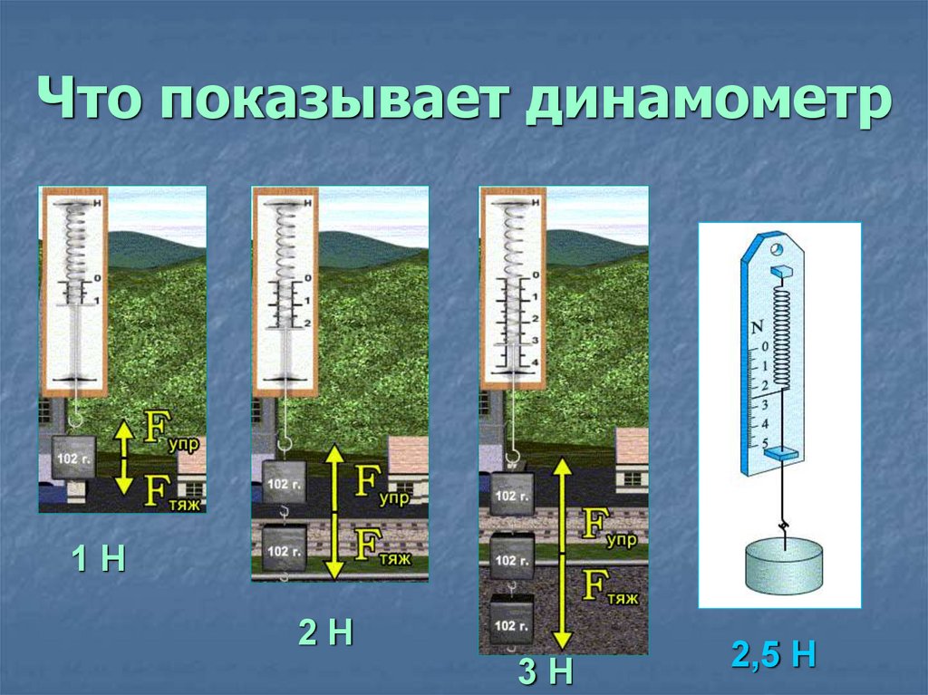 Что показывает динамометр