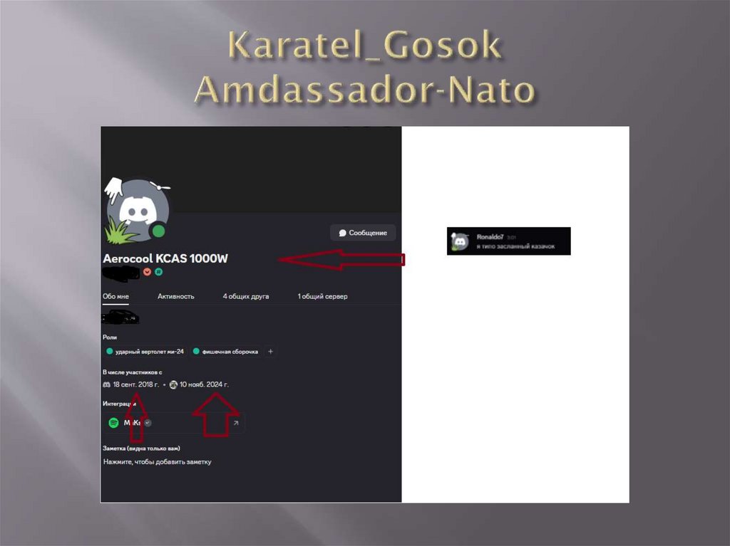 Karatel_Gosok Amdassador-Nato