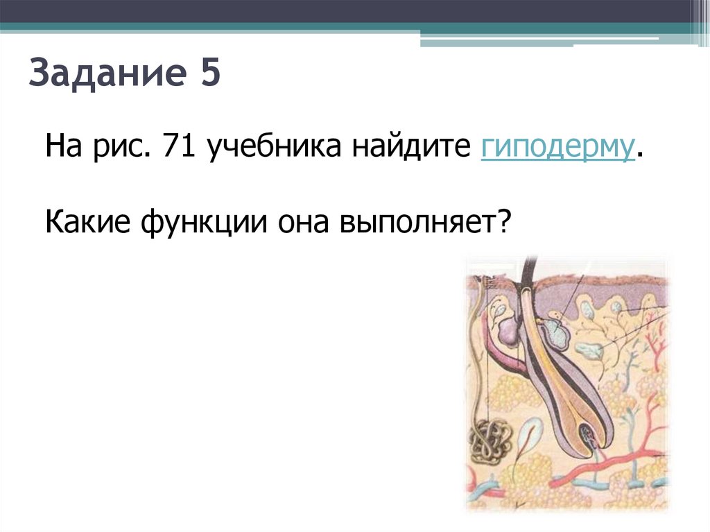 Задание 5