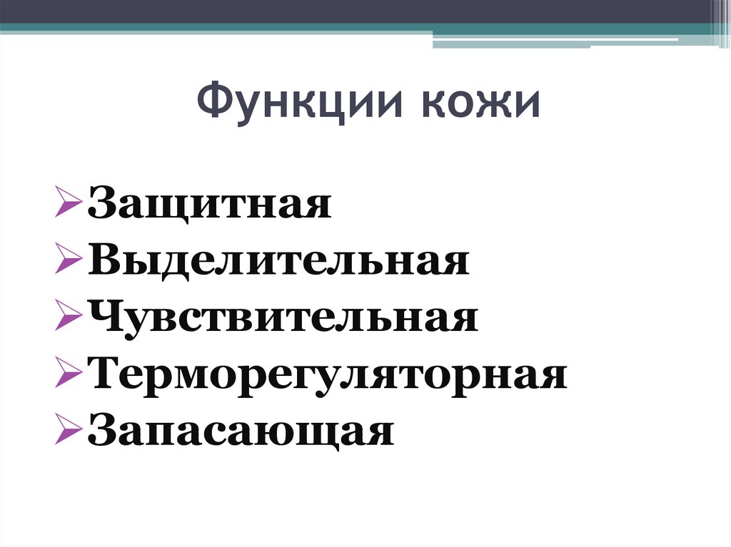 Функции кожи