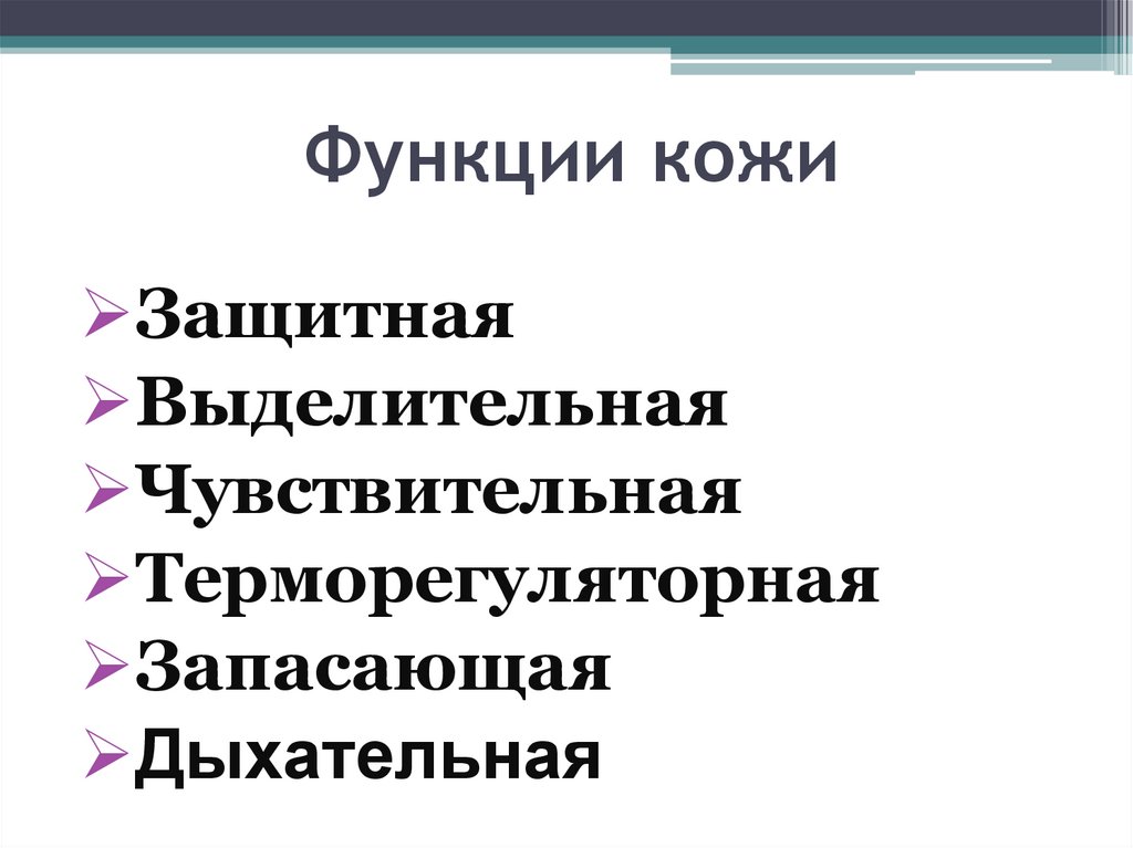 Функции кожи