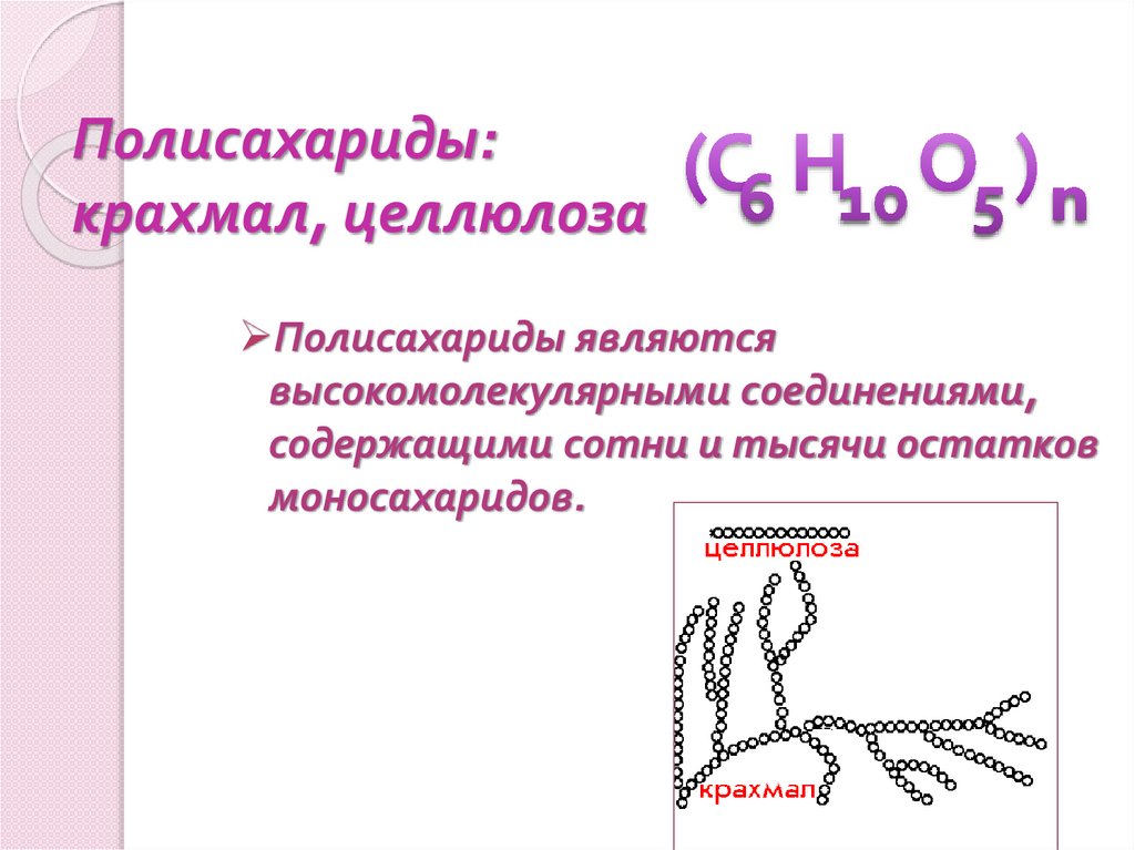 Полисахариды: крахмал, целлюлоза
