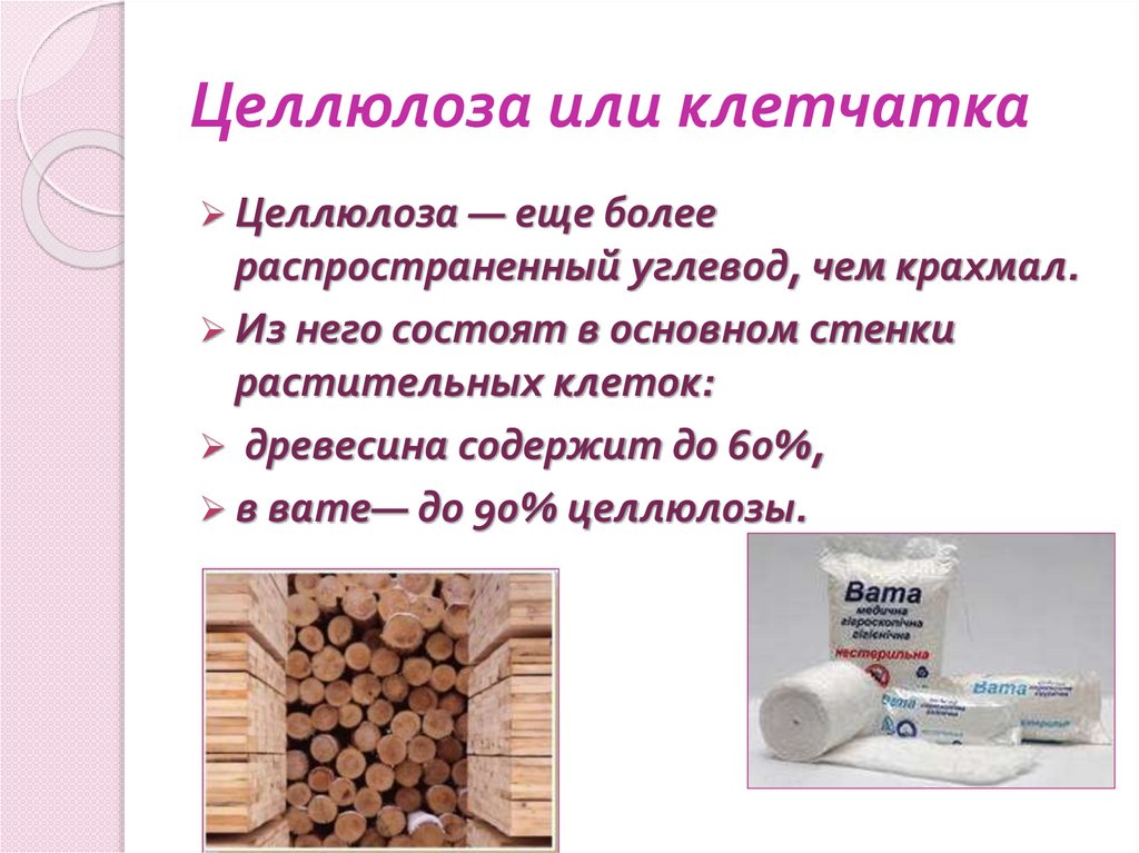 Целлюлоза или клетчатка