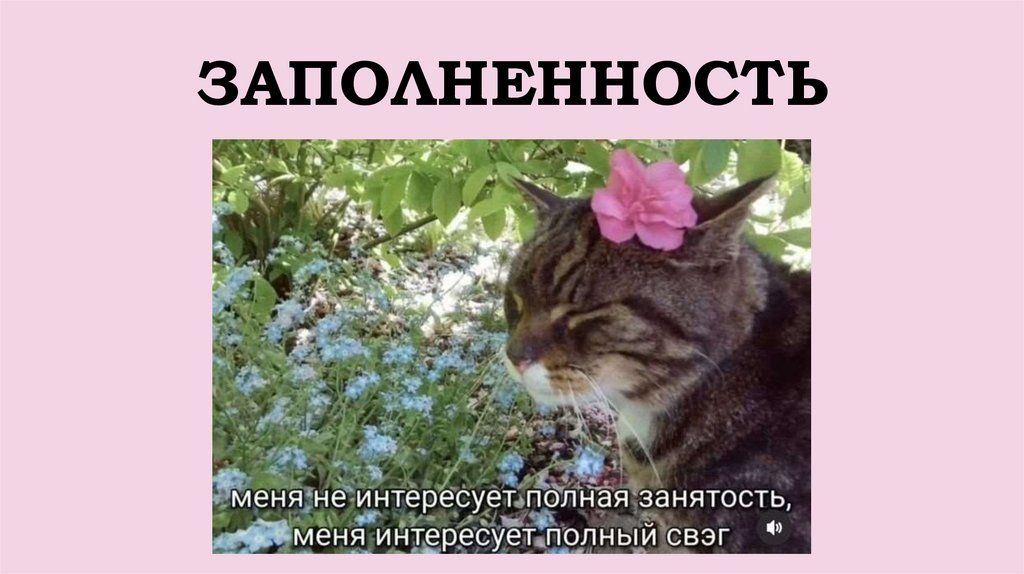 ЗАПОЛНЕННОСТЬ