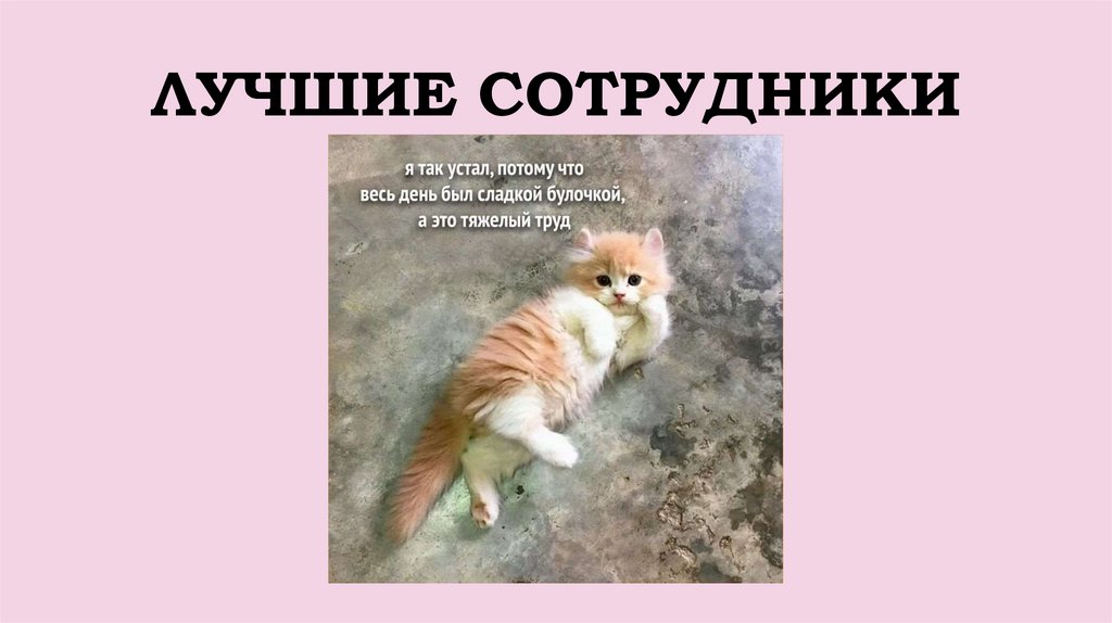 ЛУЧШИЕ СОТРУДНИКИ