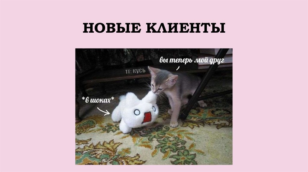 НОВЫЕ КЛИЕНТЫ
