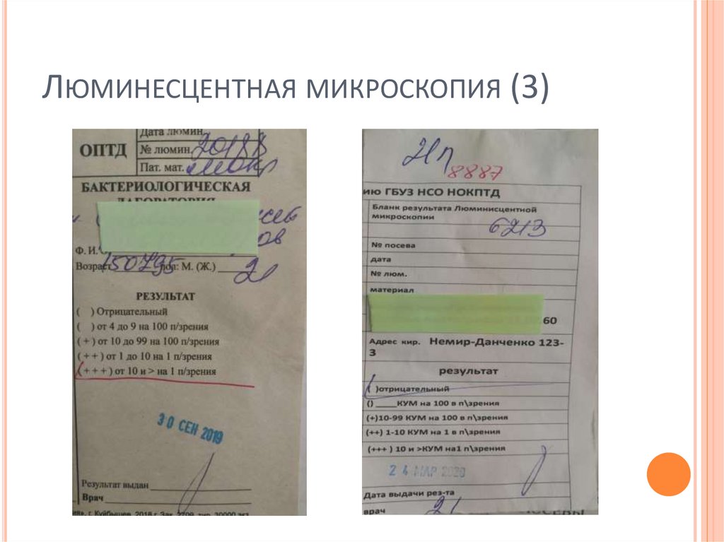 Люминесцентная микроскопия (3)