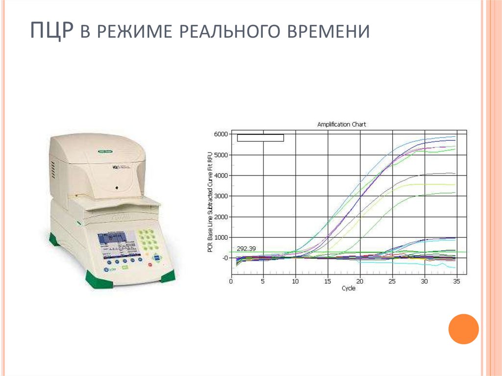 ПЦР в режиме реального времени