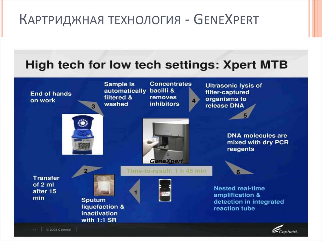 Картриджная технология - GeneXpert