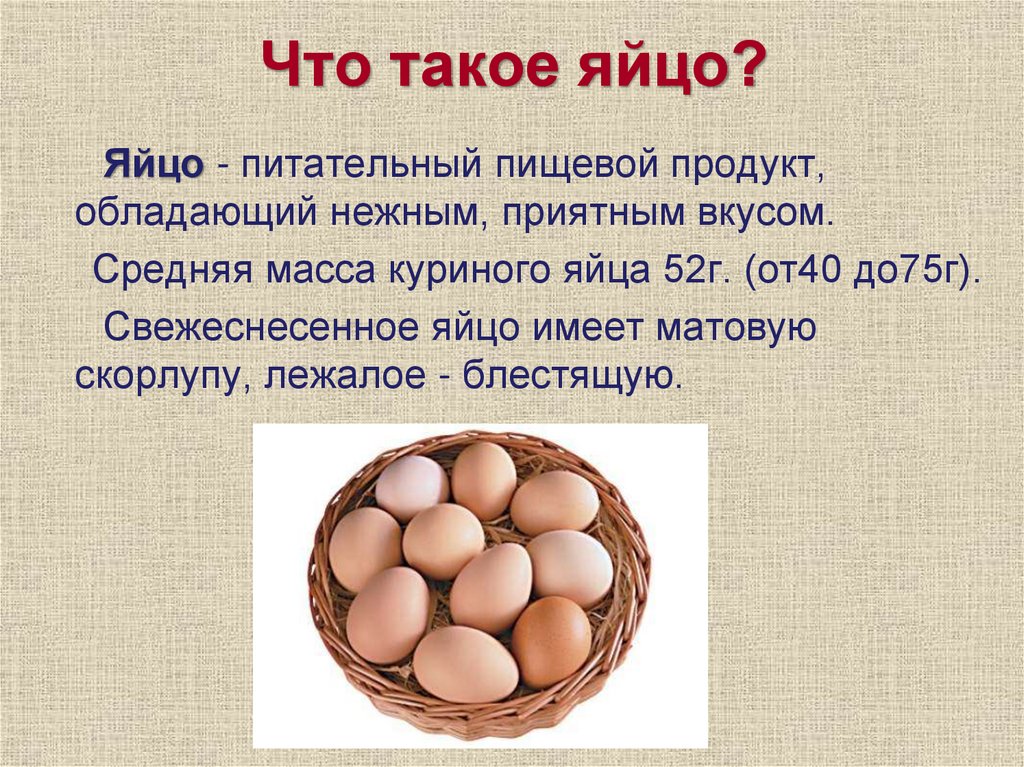 Что такое яйцо?