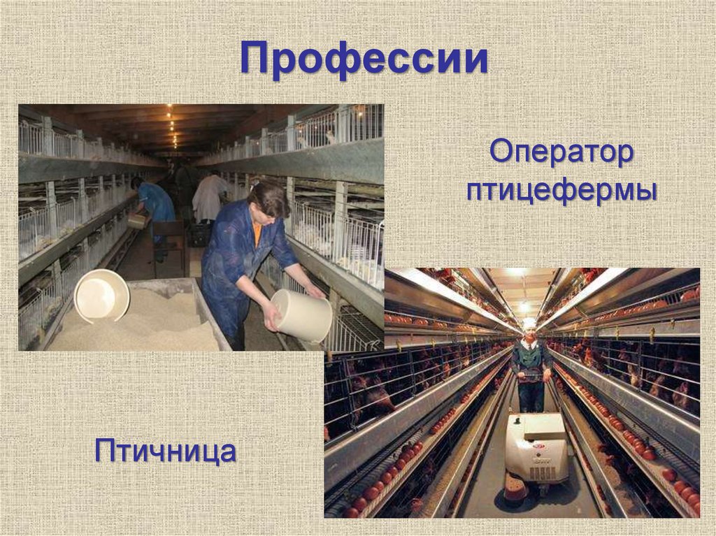 Профессии