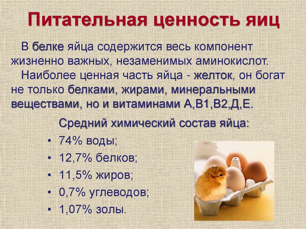 Питательная ценность яиц