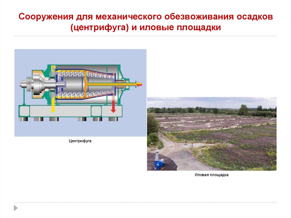 Сооружения для механического обезвоживания осадков (центрифуга) и иловые площадки