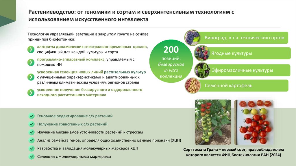 Растениеводство: от геномики к сортам и сверхинтенсивным технологиям с использованием искусственного интеллекта