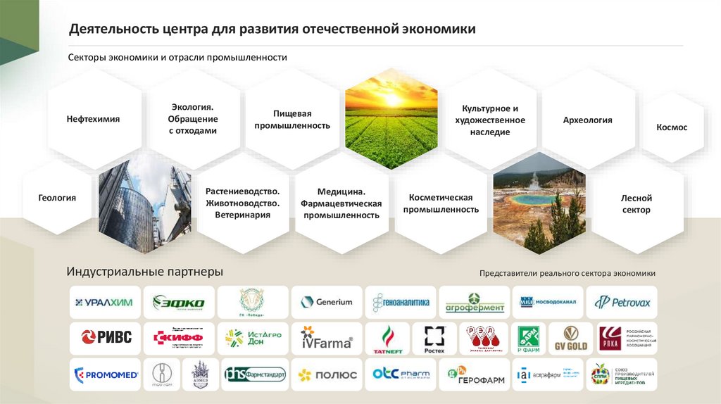 Деятельность центра для развития отечественной экономики