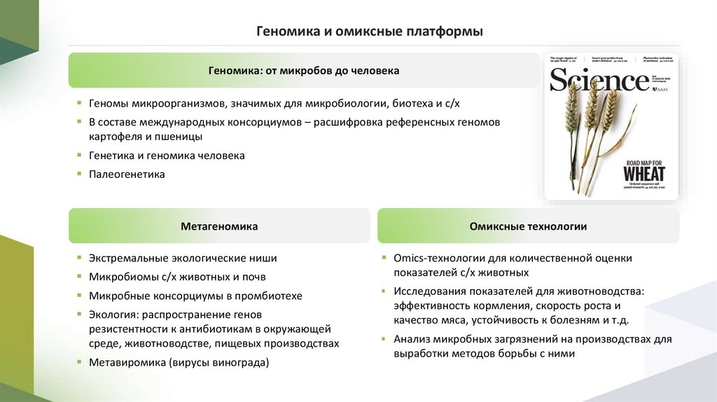 Геномика и омиксные платформы