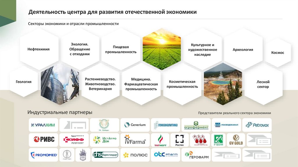 Деятельность центра для развития отечественной экономики