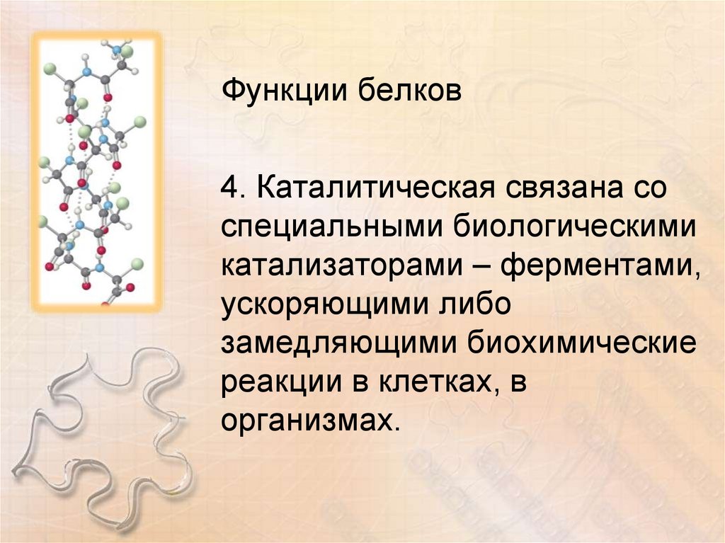 Функции белков