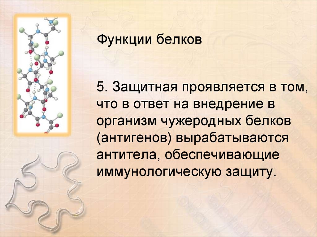 Функции белков