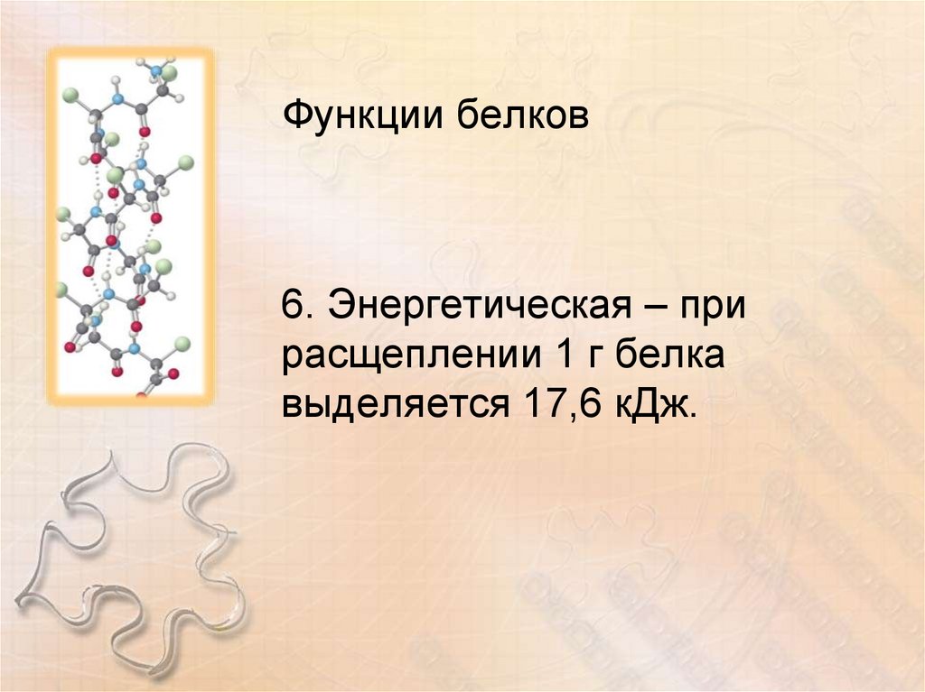 Функции белков